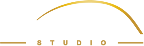 Flying Vertex Studio